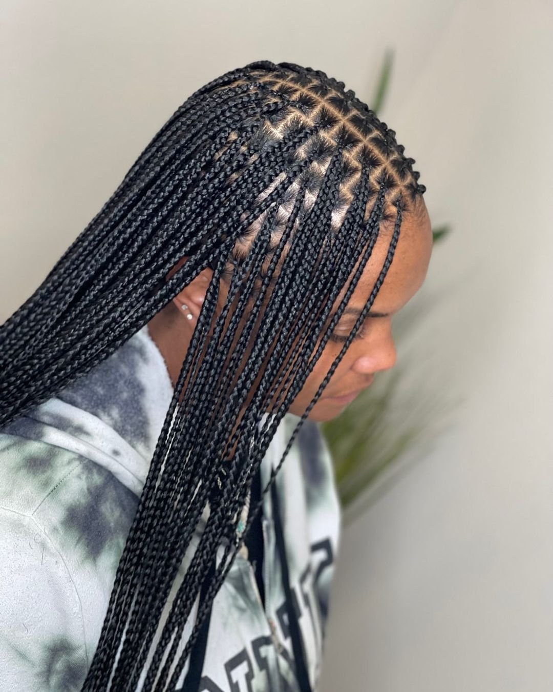 Small regular knotless braids